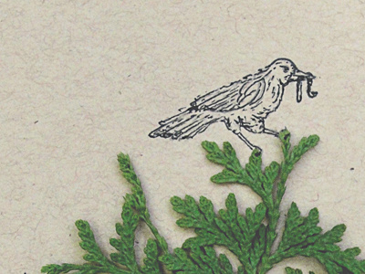 Early Bird art bird drawing early bird illustration inspiration inspire keep drawing nature sketch