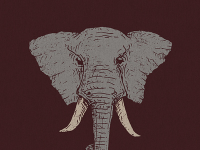 Kenya Elephant
