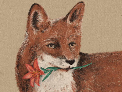 Fox design drawing flower fox hand drawn illustration joe horacek little mountain print shoppe procreate sketch