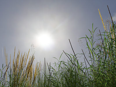 3D realistic nature creation in blender. Sun creation