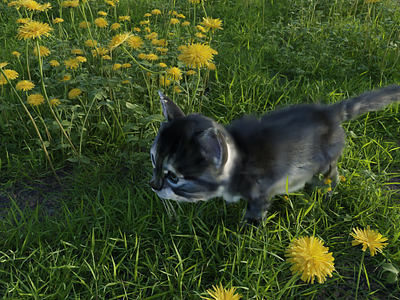 Realistic 3d nature garden creation with cat. Realistic 3d natur