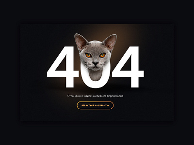 404 page 404 animal cat digital