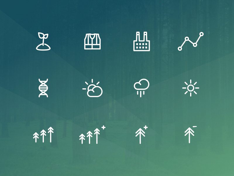 IFCO Icons building clouds dna forest graph icons industrial line seed sun tree weather