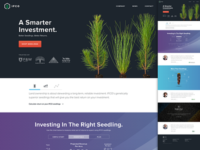 New IFCO Website gradient icons investment landing page proxima nova trees ui website