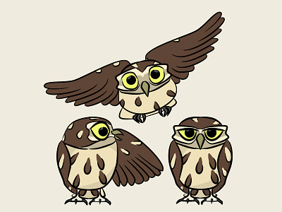 Owl of Athena animal athena bird breizh bretagne breton brezhoneg bzh bzhg cartoon chouette flying hibou illustration night owl rapace raptor