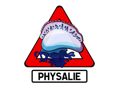 Danger - Physalie