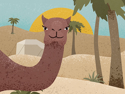 Camel | Illustration & Animation 2d adobe aftereffects animation camel character colorful cute desert design dribbble flat gif illustration palm run vector