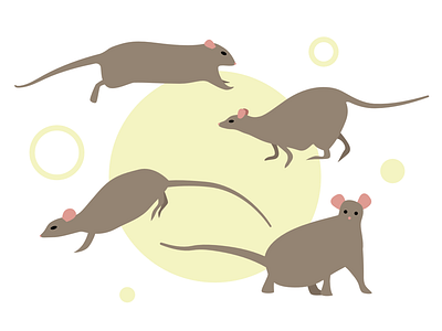 Rats 2d affinitydesign dribbble flat illustration minimal rats simple vector