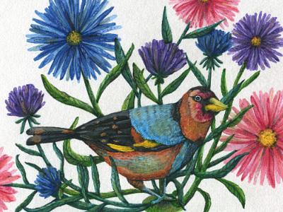 michaelmas daisies bird flowers illustration wall art