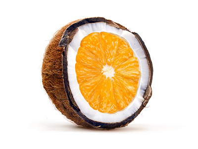 Cocorange coconut illustration indestudio orange