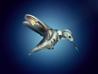 Ironbird bird calibri illustration indestudio iron