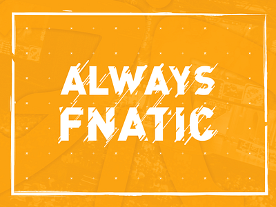 Always Fnatic Poster always design illustration poster vector