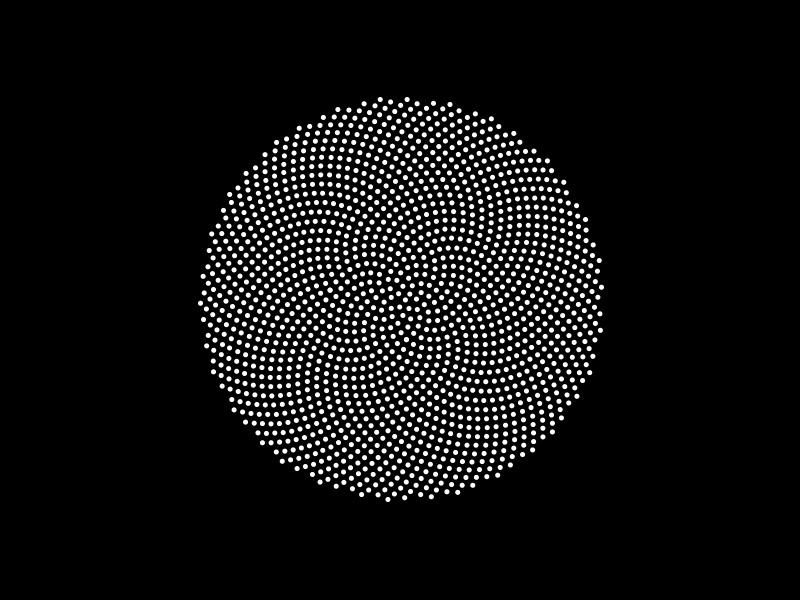 Phyllotaxis by Gvantsa Chijavadze on Dribbble