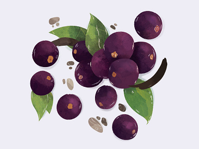 Acai Berries