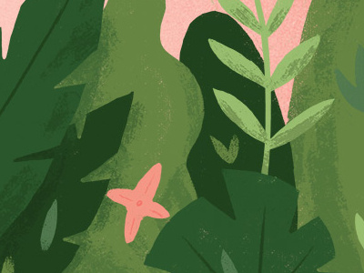 Jungle Illustration green illustration jungle leaves pink texture