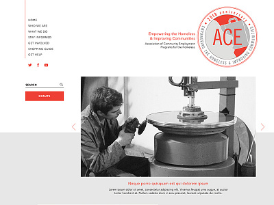 Ace Homepage design