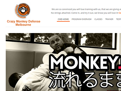 Crazy Monkey Defense Melbourne australia business website crazy monkey defense melbourne small business sme web design