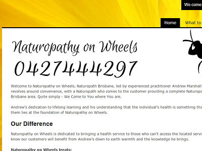 Naturopathy On Wheels - Brisbane australia brisbane business naturopathy sme web design website