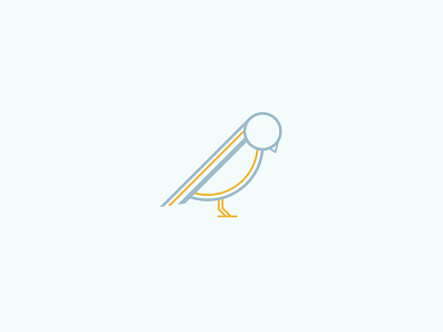 Bird Illustration