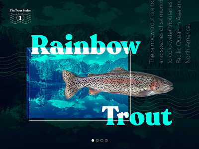 Trout Hero 1 adventure fishing hero section layoutdesign outdoors trout ui design ui ux web design