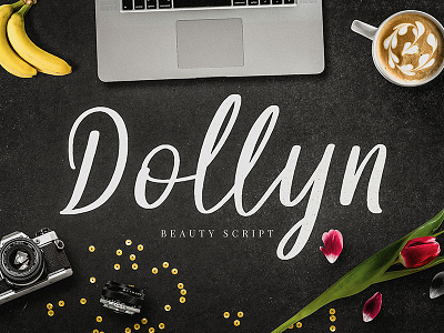 Dollyn Script - Casual Playful Font branding casual fonts handwriting lettering logo script typeface wedding