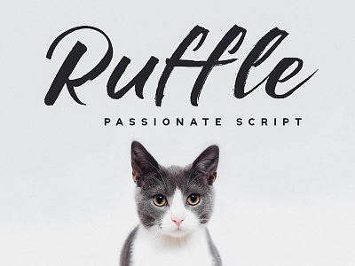 Ruffle - Casual Brush Font branding font hand lettering handlettering handwriting logo script typeface typography