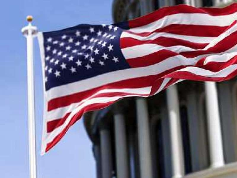 Does Spirit Airlines Allow the Pets to Carry? by Elena Gilbert on Dribbble