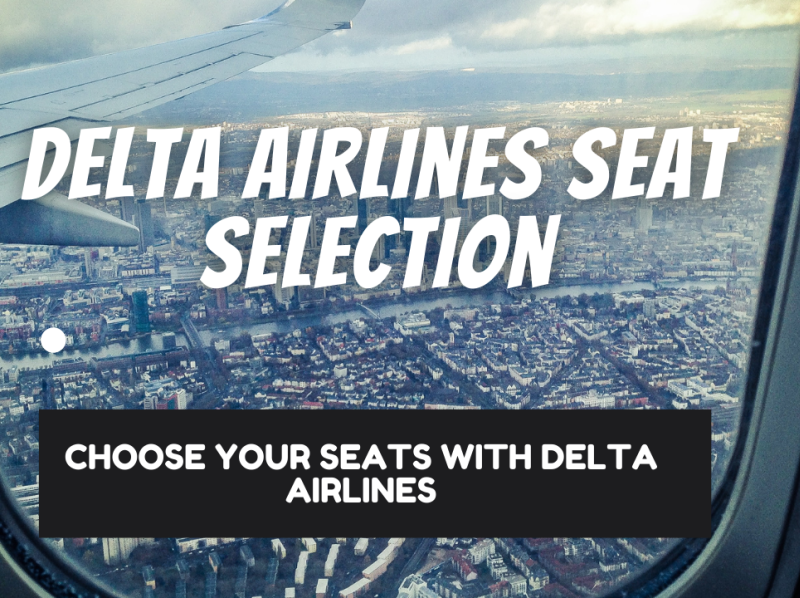 Delta Airlines Seat Selection By Elena Gilbert On Dribbble