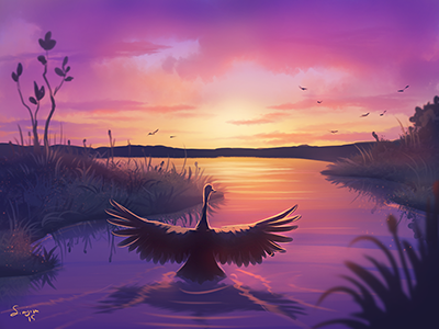 Evening flight bird crane evening flying nature purple waterside wings