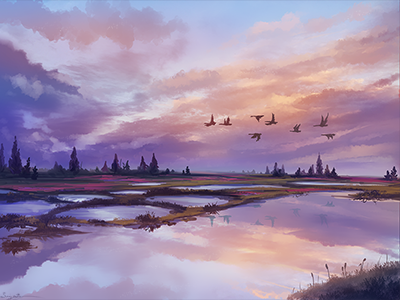 Sunset melody birds lakes nature puddles sky sunset