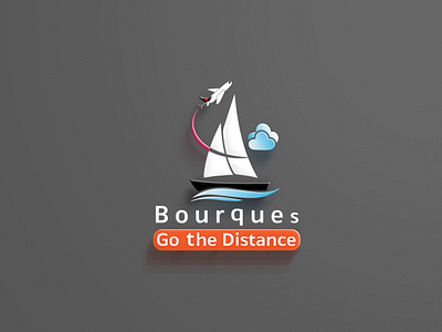 Branding for Bourques flying company