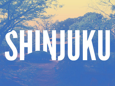 Shinjuku channels japan photography series shinjuku typography