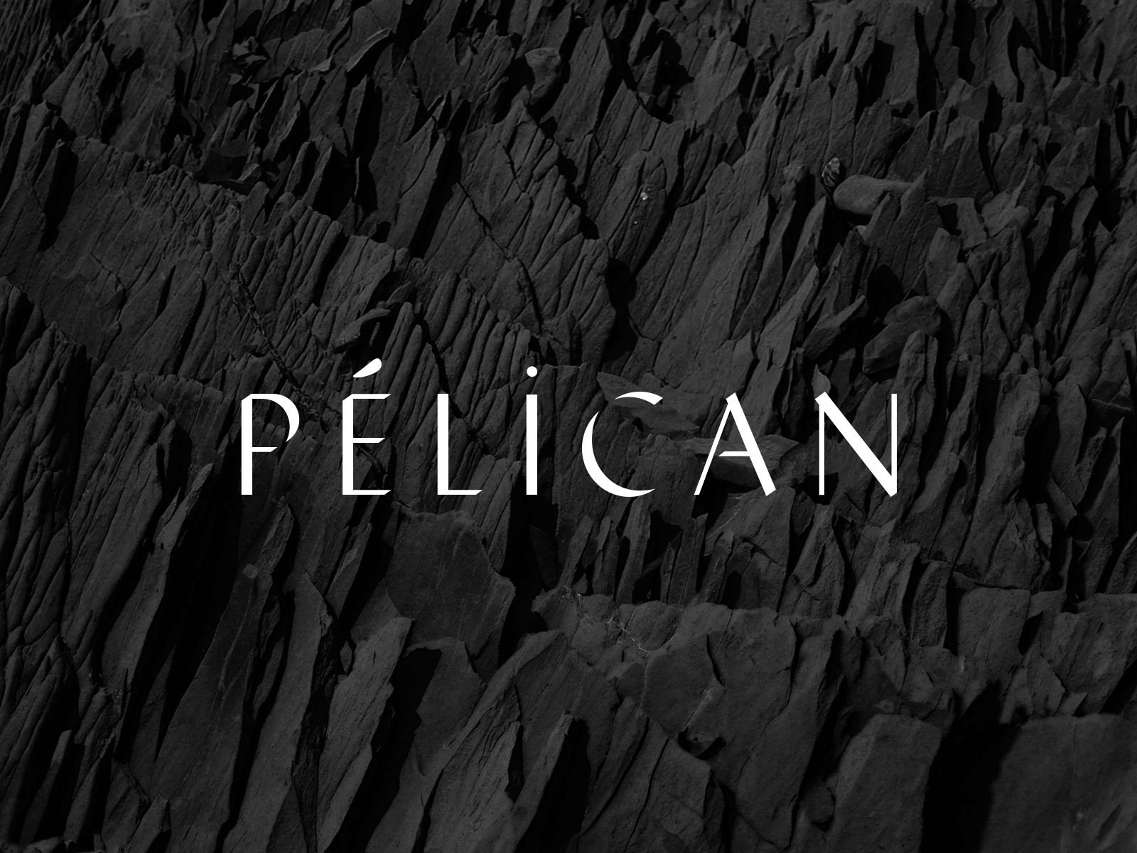 Pélican Restaurant — Logotype art direction blackandwhite branding design graphic logo logotype pelican restaurant