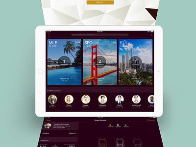 iPad App for a Check-In executive