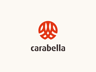 Carabella Logo abstract brand branding clean golden ratio grid logo mark modern