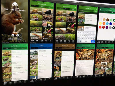 British Wildlife app screens animal app design mobile ui uk user interface wildlife