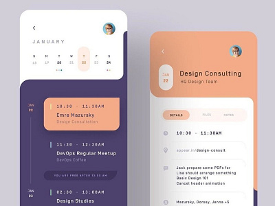 Design Consulting app ui design For UAE Client