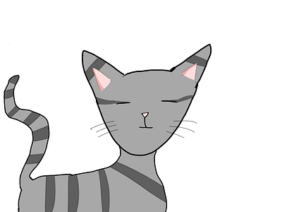 A Cat 🐱 illustration