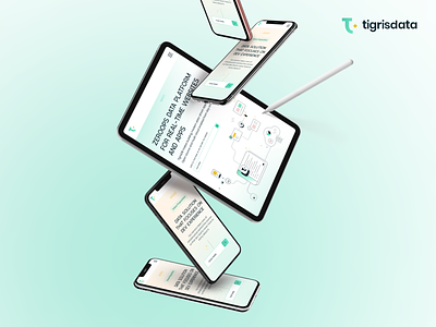 Tigris Data Branding animation brandapplication branddesign branding graphic design illustration landingpage logo logomark motion ui saasproduct ui uidesign