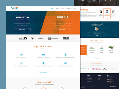 VSE Consulting design illustration ui ux web website