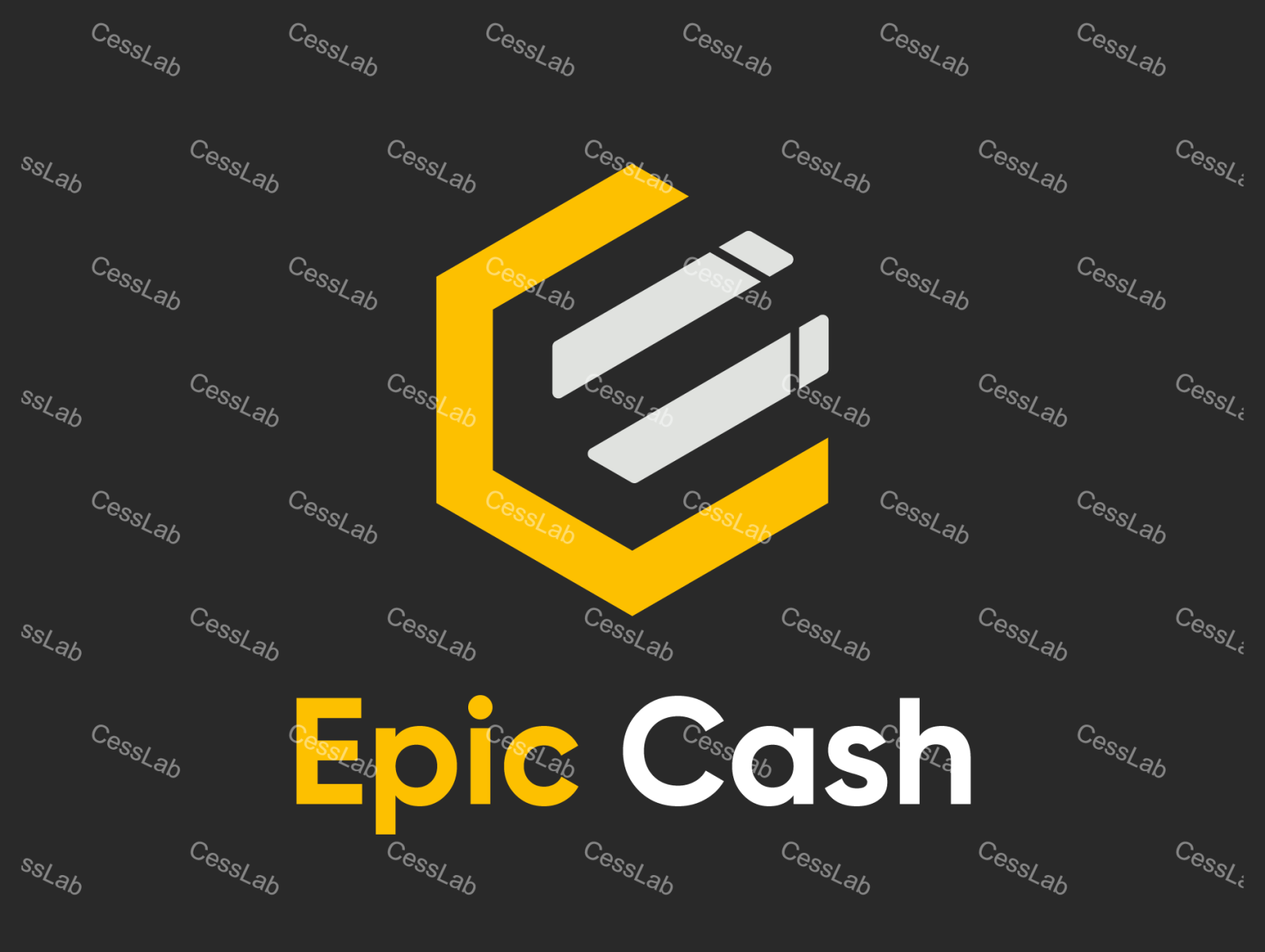 Epic Cash Logo by Cess on Dribbble