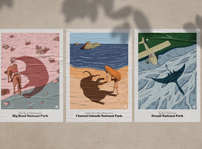 National Parks Poster Series design illustration
