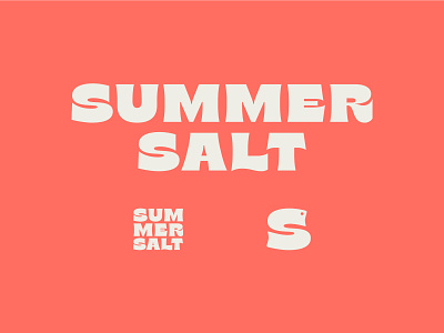 Summer Salt Brand Identity 70s type brand identity branding fast casual groovy logo nyc restaurant branding wavy type