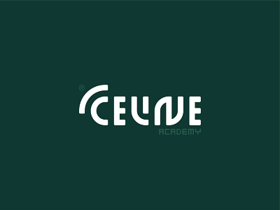 Ceiline Academy art brand branding design graphic design illustration logo logotype typography ui vector