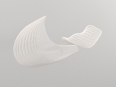 Curved mesh