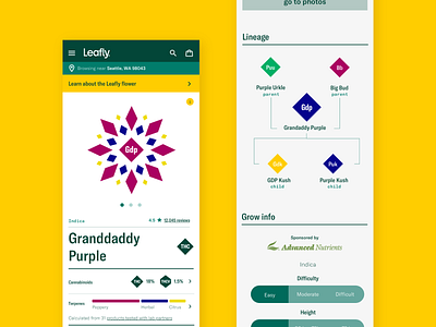 Leafly strains data visualization system ui ux