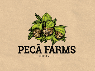Vintage Pecan Farms logo illustration