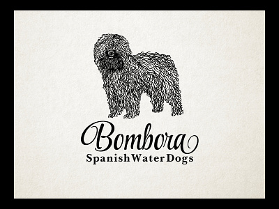 Spanish water-dog