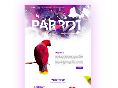 Parrot bird parrot ui