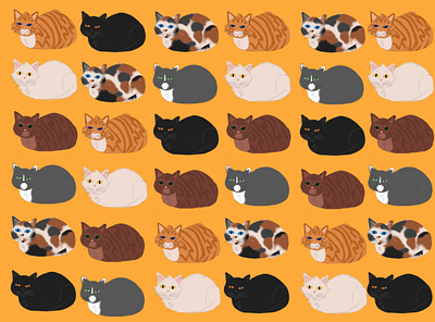 Cat Loaves bright color cats illustration pattern